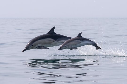Tour image 14